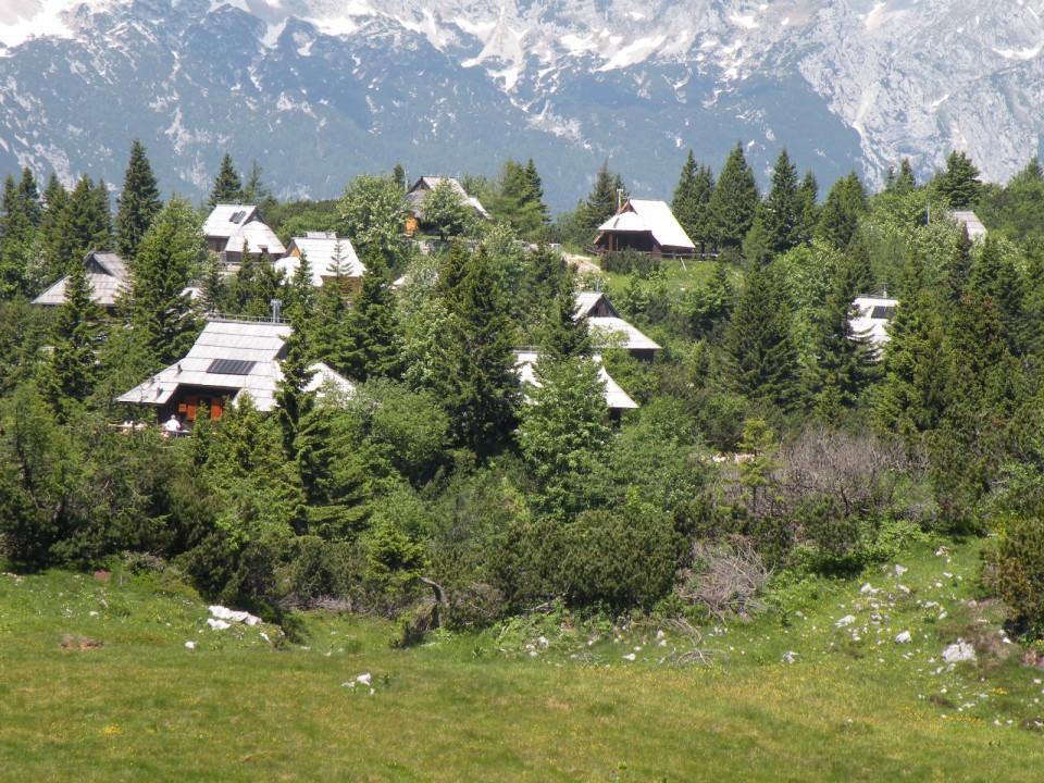 Velika planina 14.06.2009 - foto povečava