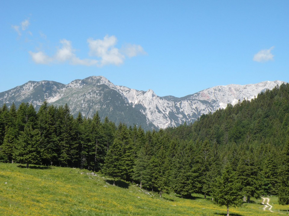 Velika planina 14.06.2009 - foto povečava