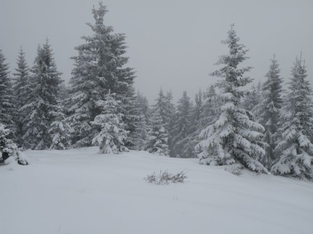 Košenjak 19.12.2009 - foto