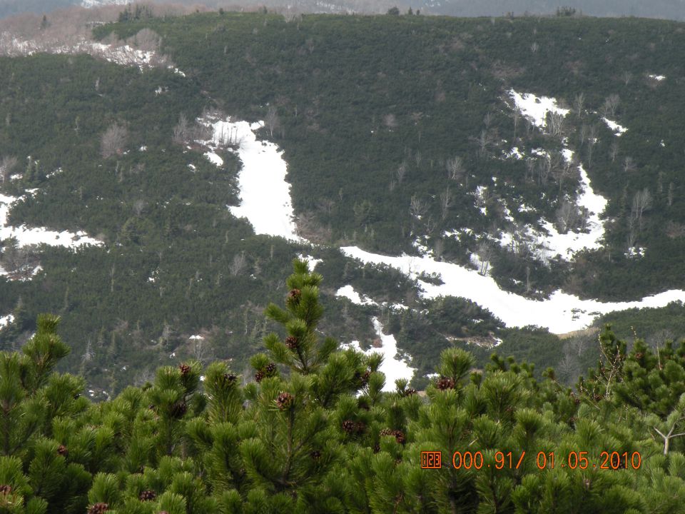 Snežnik 01 .05. 2010 - foto povečava