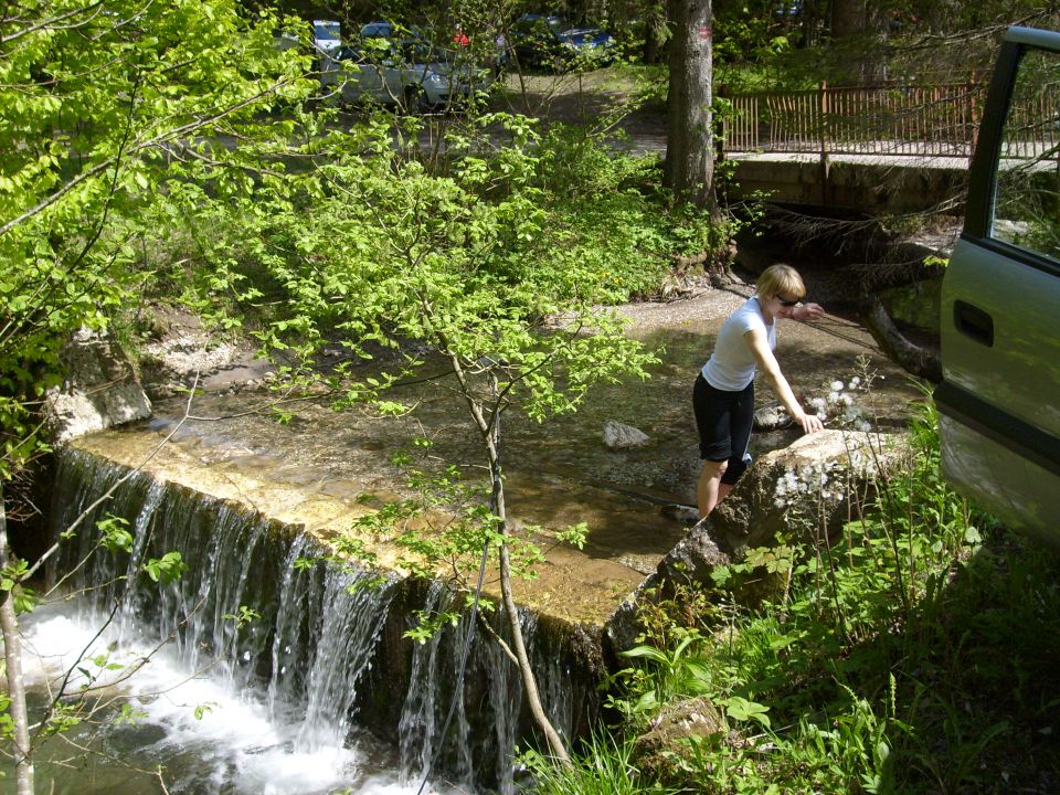 Golica 23. 05. 2010 - foto povečava