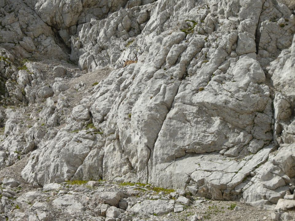 Skuta in Grintovec 11 in 12.9 2010 - foto povečava