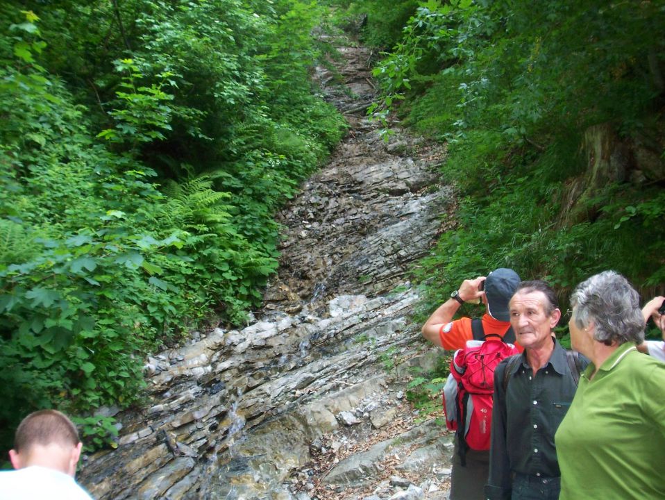 Storžič 10.07.2010 - foto povečava