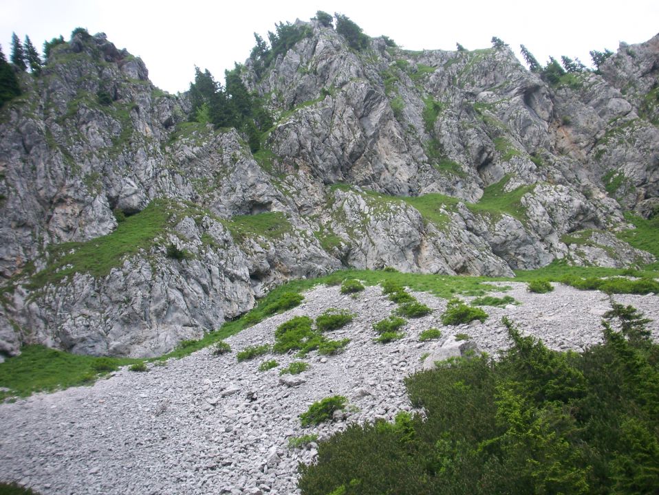 Storžič 10.07.2010 - foto povečava