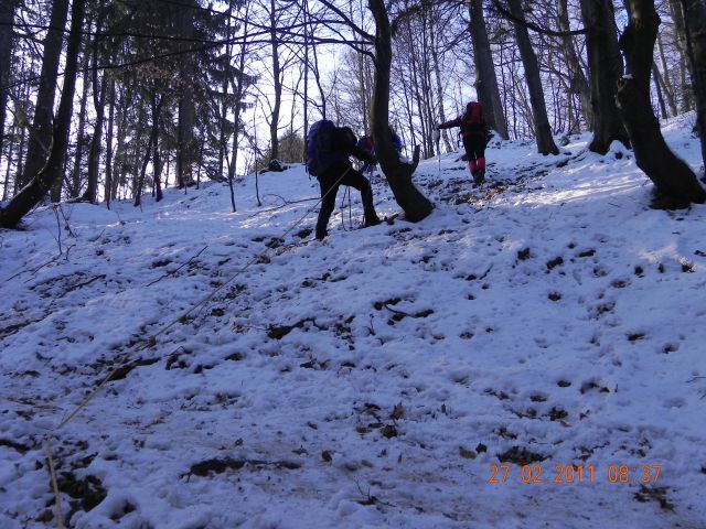 Pohorje, 27.02.2011 - foto