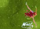 Winx na ledu (winx on ice) - foto