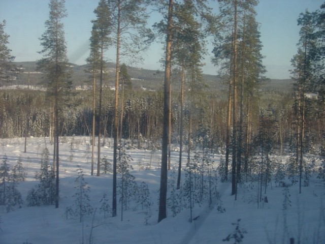 Lapland-feb05-1.del - foto