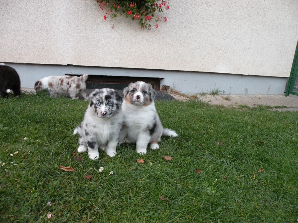 both girls posing