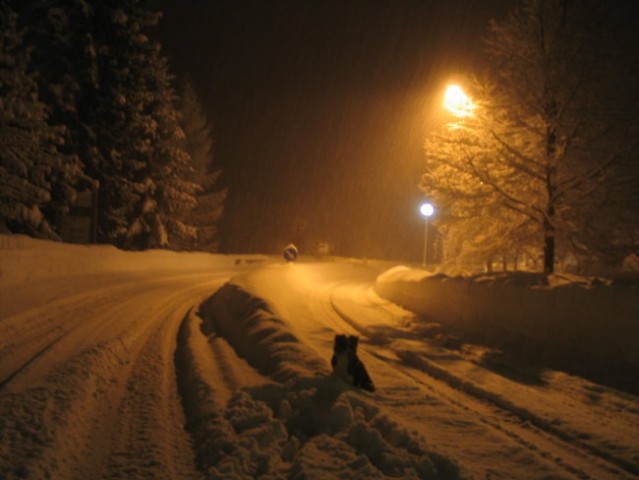 Nočna v snegu