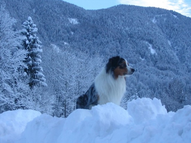 Kranjska Gora v snegu 26.-30.11.05 in Avstral - foto