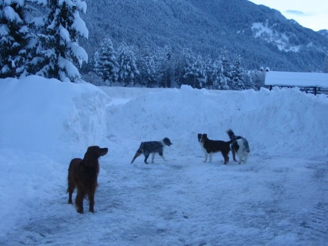 Kranjska Gora v snegu 26.-30.11.05 in Avstral - foto