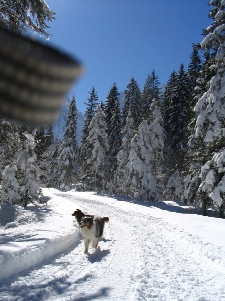 pomladanska pravljica