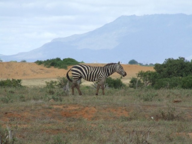 Kenija 2007 - foto