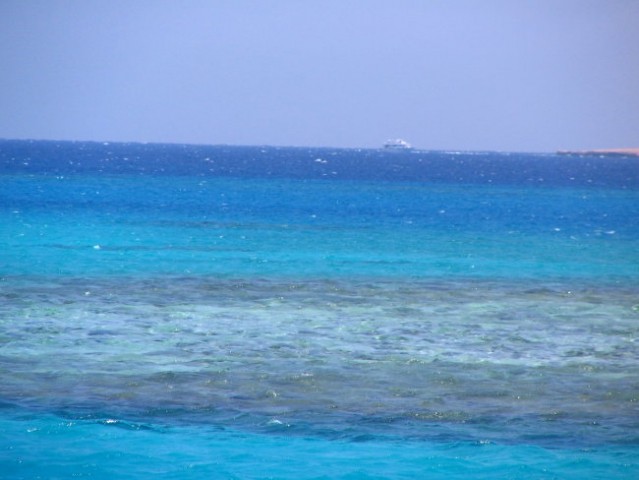 Koralni grebeni