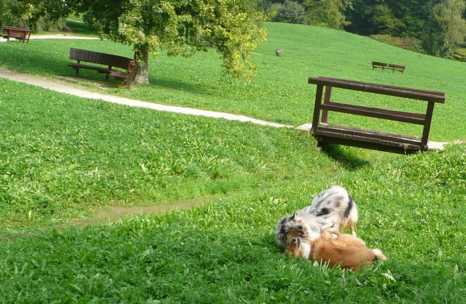 Donna - foto povečava