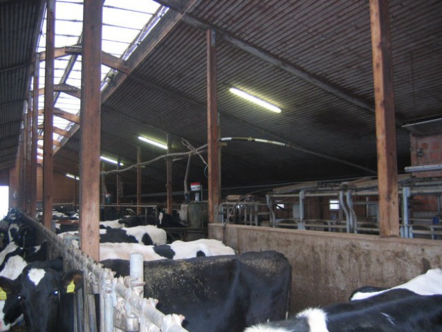 Nemčija 07 - foto