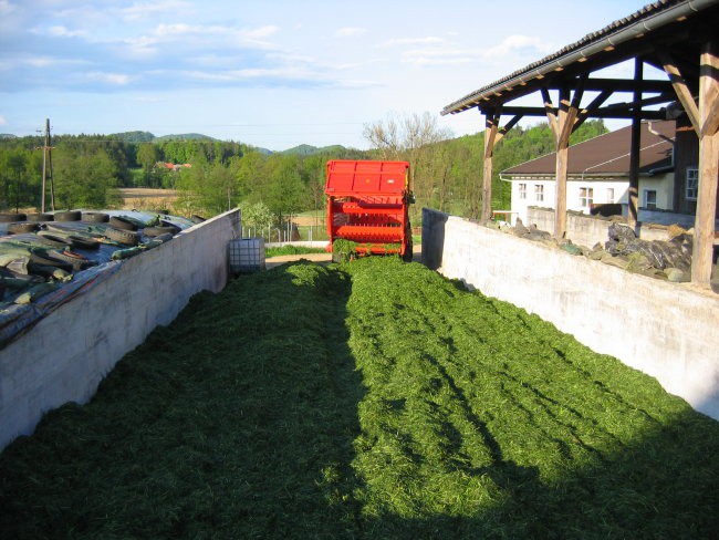 1.košnja 08 - foto povečava