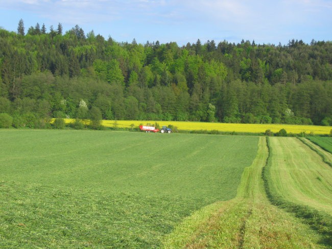 1.košnja 08 - foto povečava