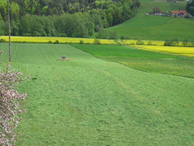 1.košnja 08 - foto