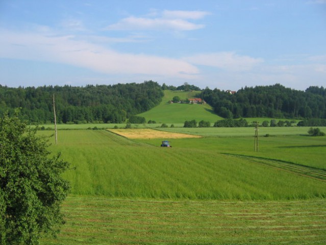 2. košnja 08 - foto