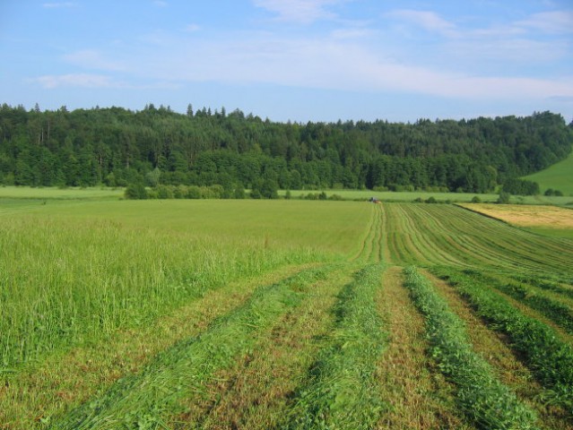 2. košnja 08 - foto