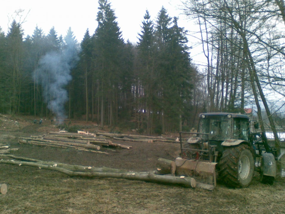 Golosek gozda - foto povečava