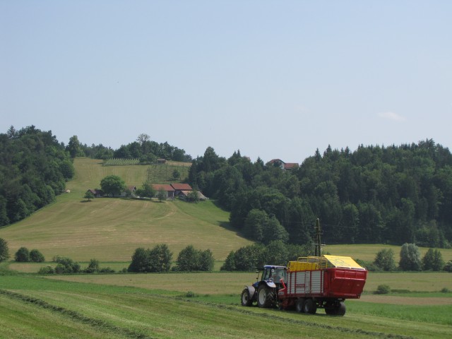 2.košnja_09-10-12-13 - foto