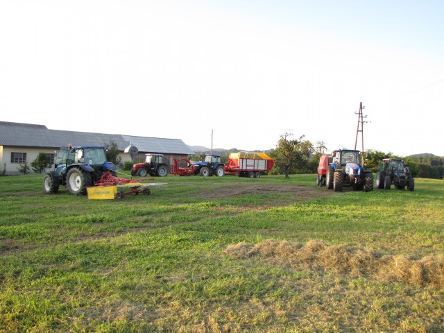 2.košnja_09-10-12-13 - foto