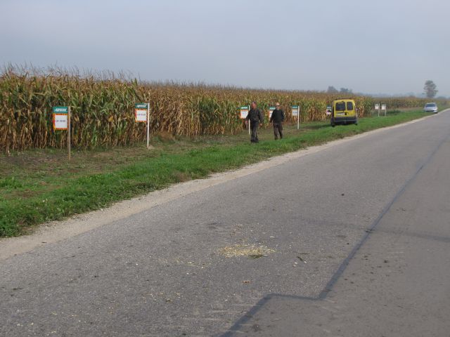 Siliranje_09 - foto