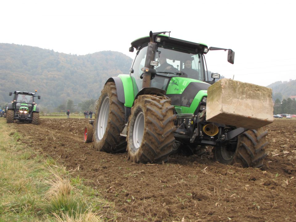 Pašni dan 2011 - foto povečava