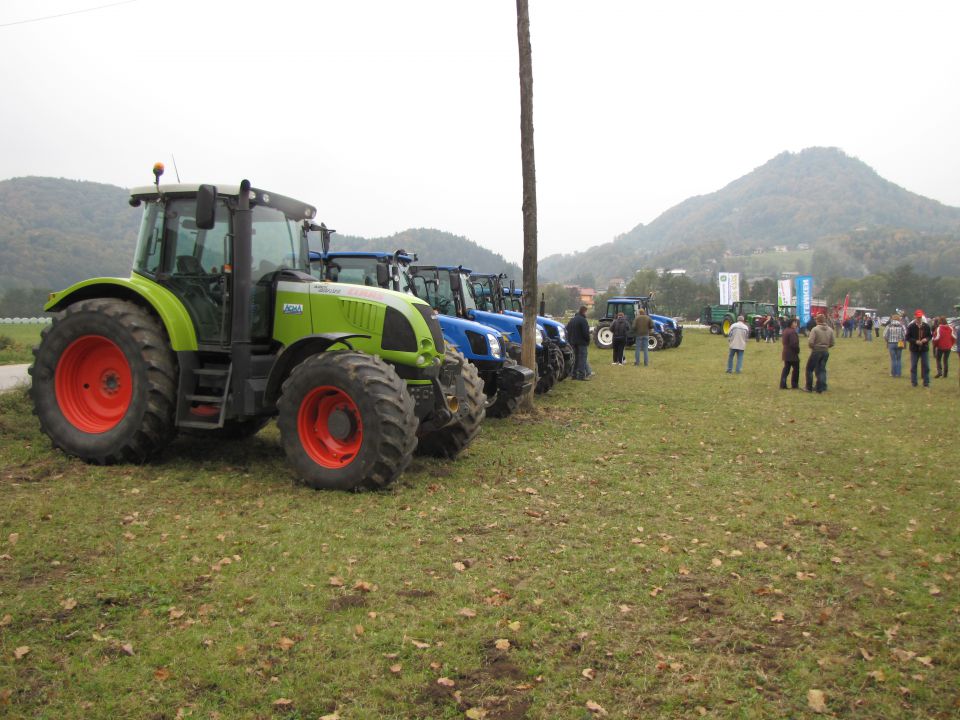 Pašni dan 2011 - foto povečava