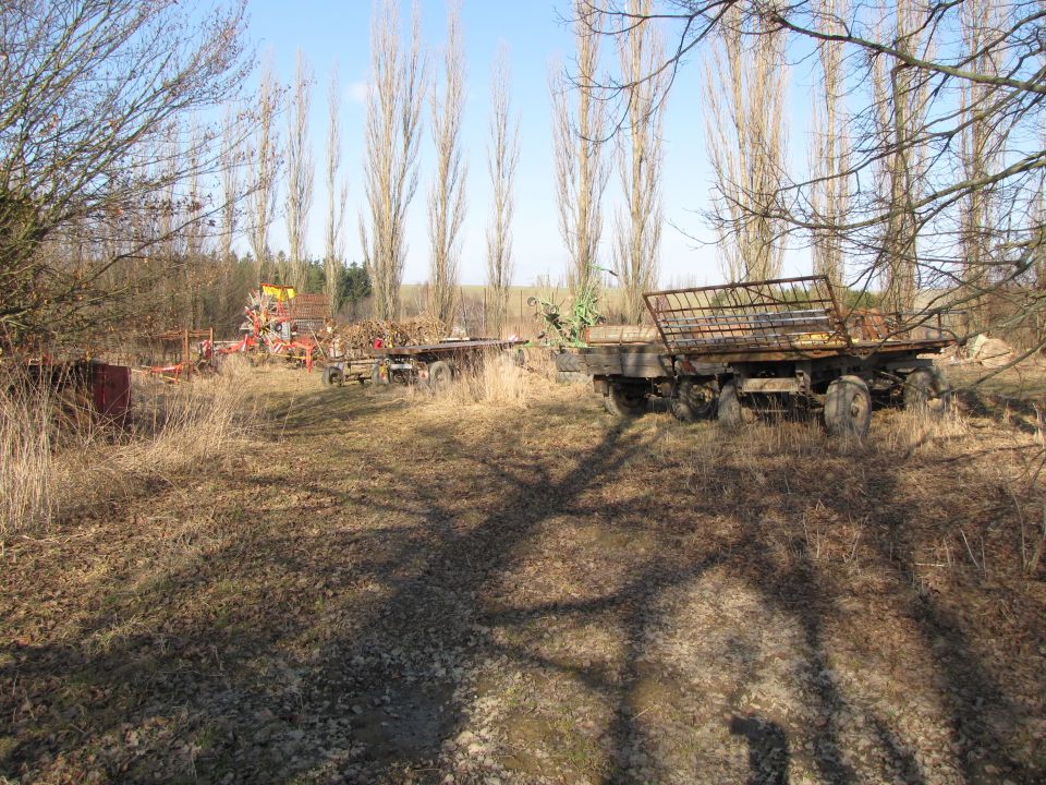 Češka_TF_2012 - foto povečava