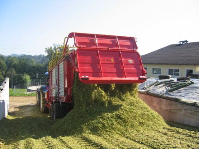 Siliranje 07 - foto