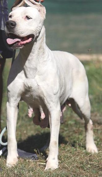 Chikita Kulkan - foto