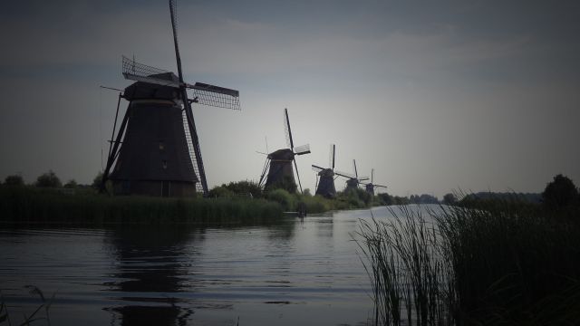 Kolesarjenje po Nizozemski - foto