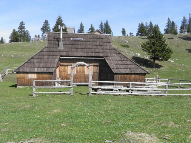 Velika planina - foto