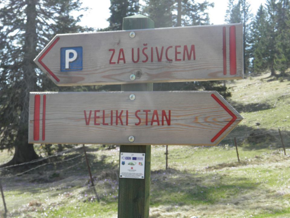 Velika planina - foto povečava