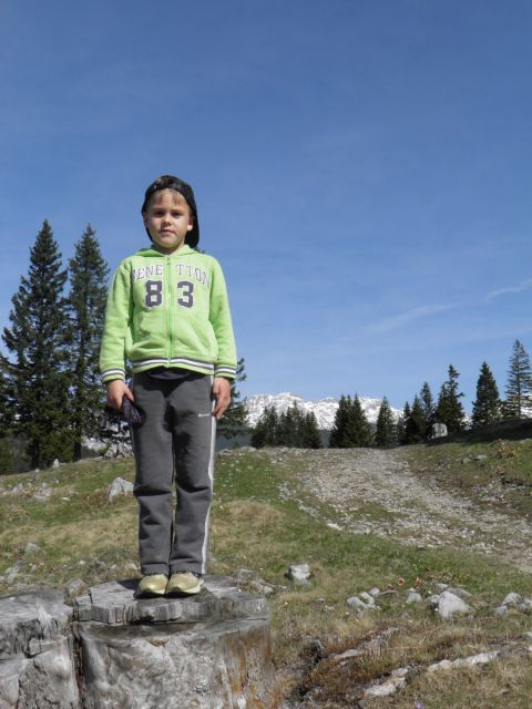 Velika planina - foto