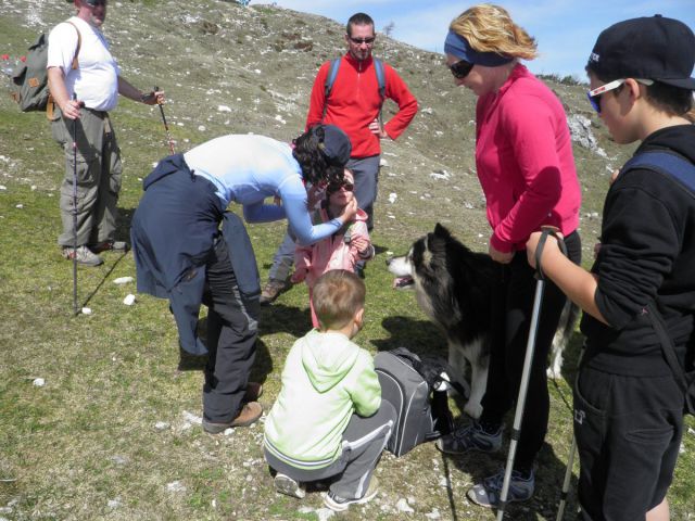 Velika planina - foto