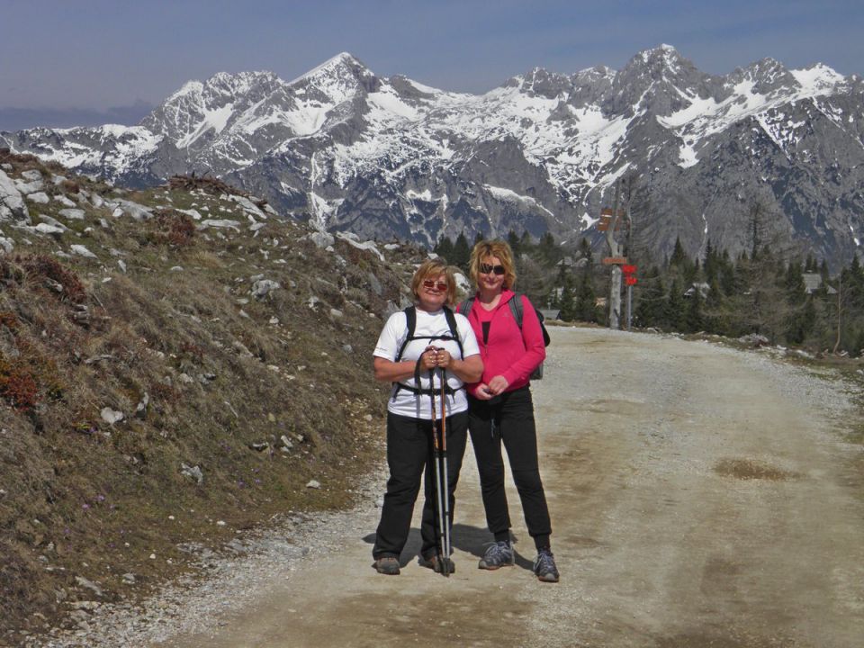 Velika planina - foto povečava