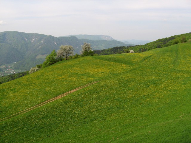 (Radeče)Jagnjenica-Svibno-Magolnik-Jatna-Klad - foto