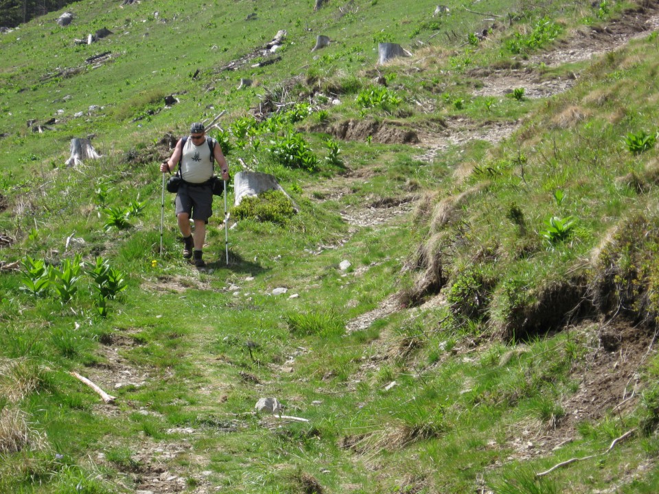 Koča v Gozdu-Kriška gora-Tolsti vrh-V.Poljana - foto povečava