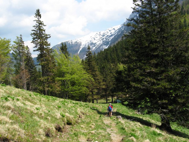 Koča v Gozdu-Kriška gora-Tolsti vrh-V.Poljana - foto