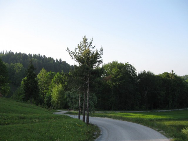 Vetrnik-Debeli vrh-Koča na Bohorju-17.5.09 - foto