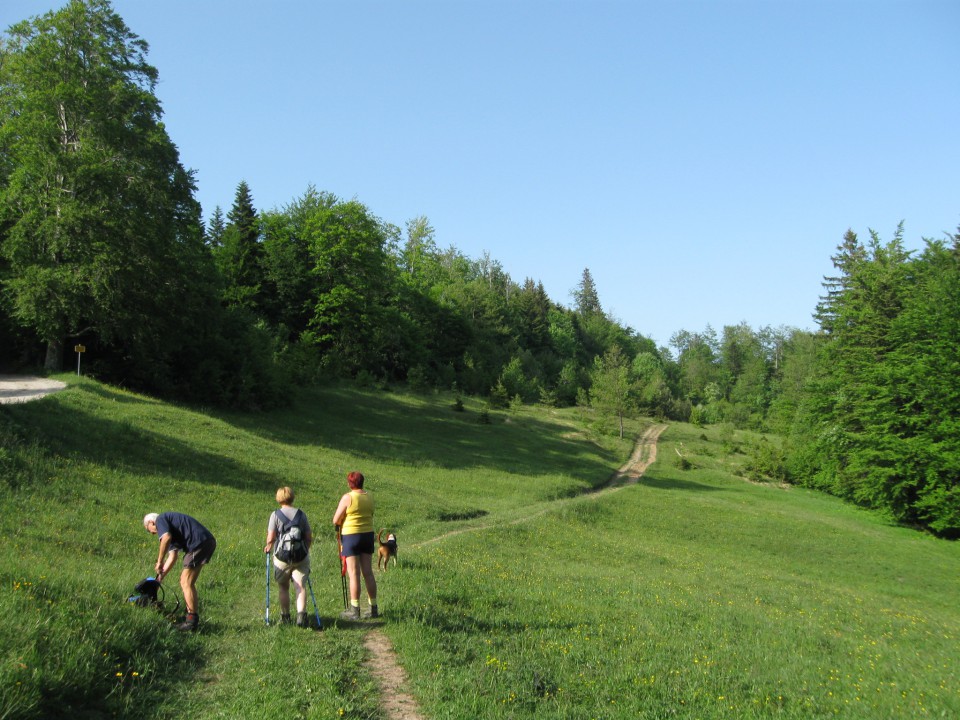 Vetrnik-Debeli vrh-Koča na Bohorju-17.5.09 - foto povečava