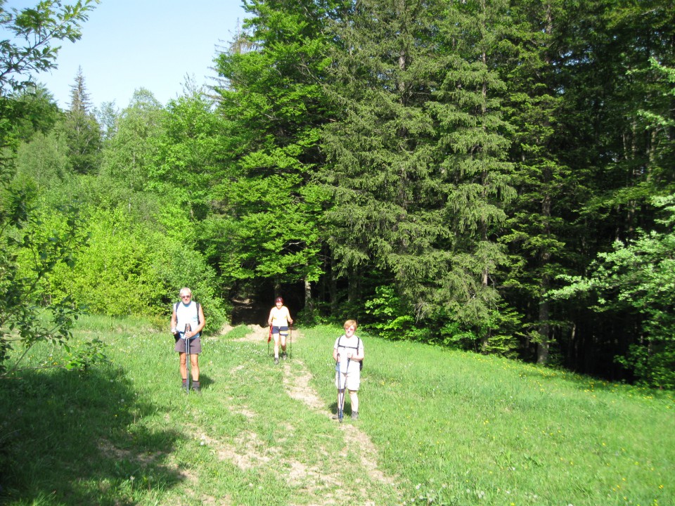 Vetrnik-Debeli vrh-Koča na Bohorju-17.5.09 - foto povečava