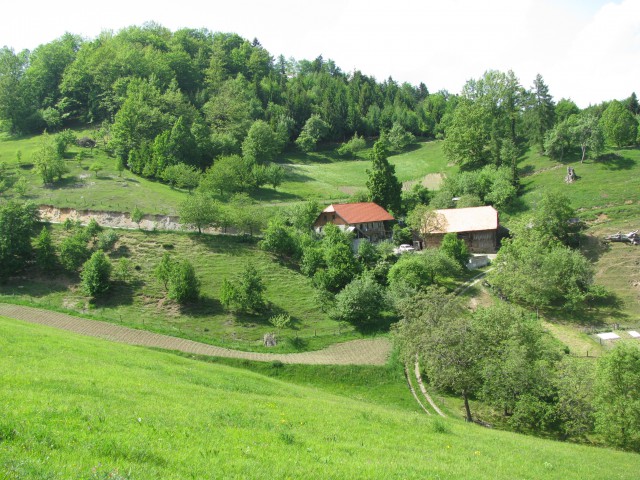 Vetrnik-Debeli vrh-Koča na Bohorju-17.5.09 - foto