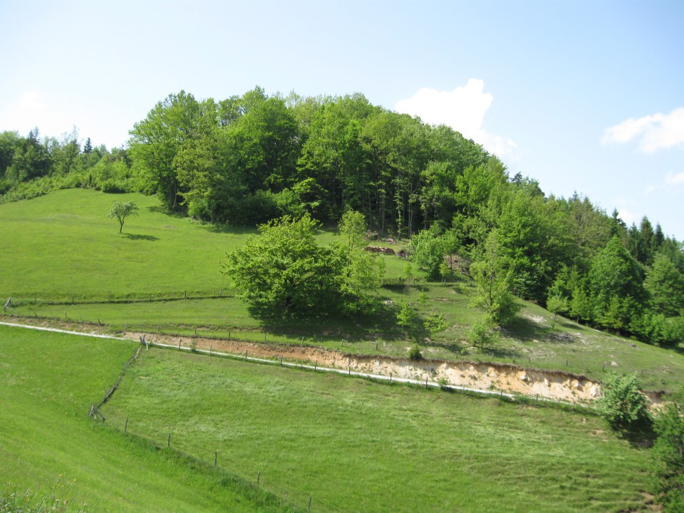 Vetrnik-Debeli vrh-Koča na Bohorju-17.5.09 - foto povečava