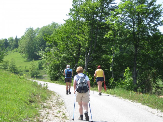 Vetrnik-Debeli vrh-Koča na Bohorju-17.5.09 - foto