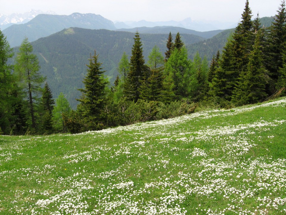 Topla(rudnik)-Dom na Peci-Kordeževa glava-Kni - foto povečava